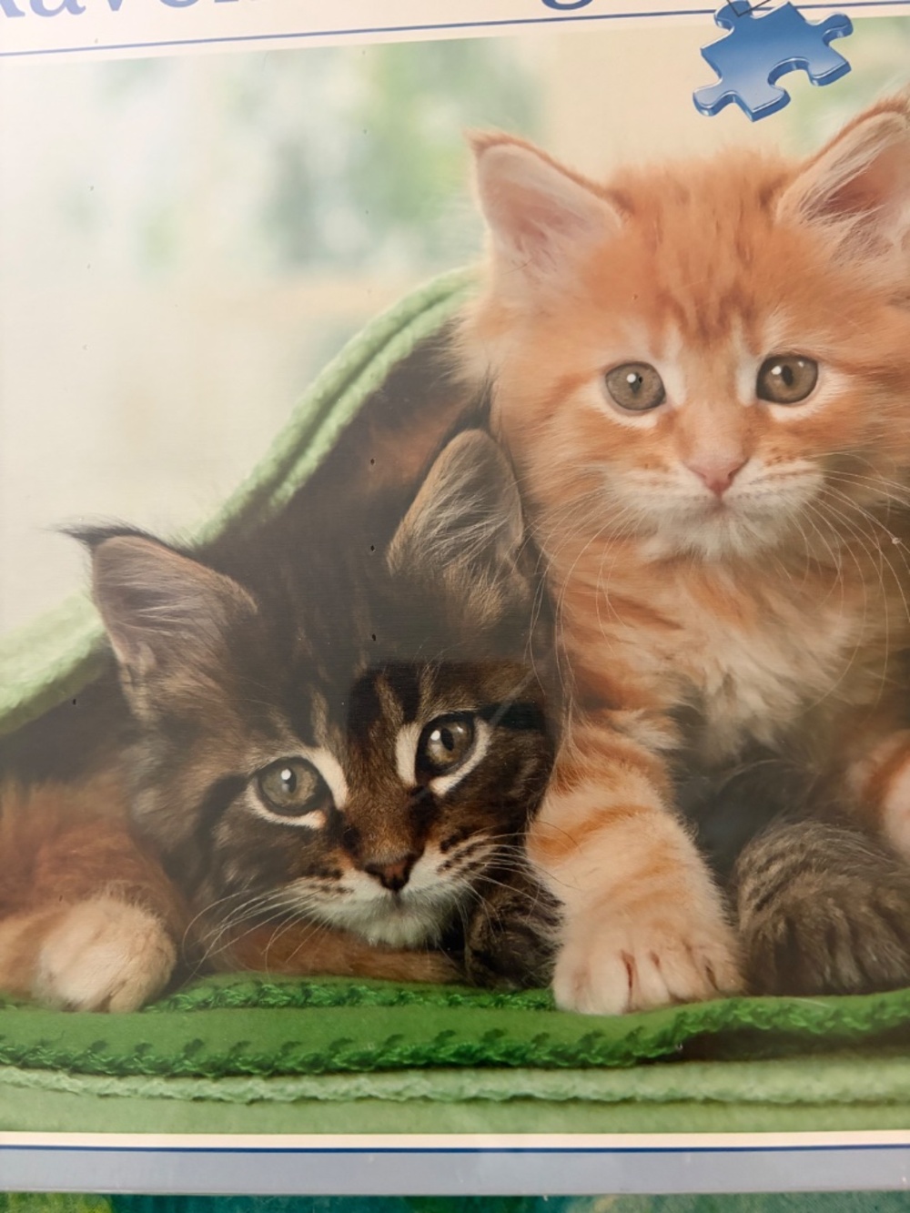 New Ravensburger 1500 piece Jigsaw Kitten Buddies - Picture 2 of 4